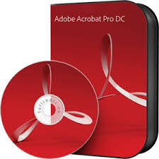 Adobe Acrobat Pro DC 2020.013.20074 + Patch